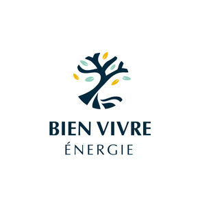 Benoit Carpentier Castries, Professionnel indépendant