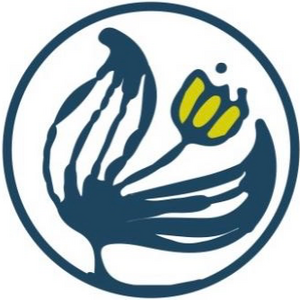 Virginie Brenac Montpellier, Professionnel indépendant